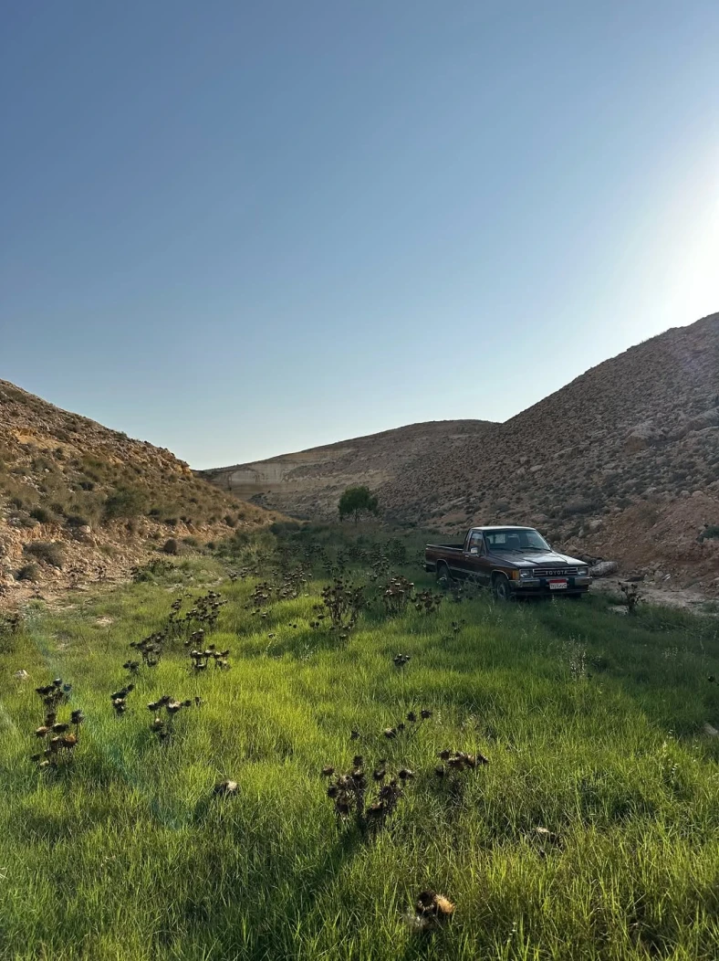 504330542_17850217194490322_8403633919629155023_n_4x