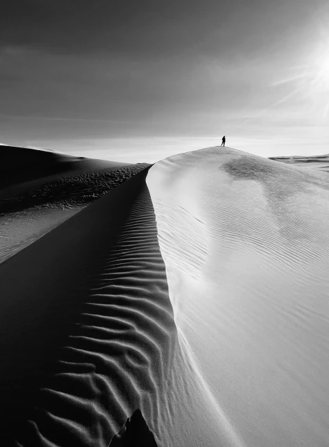 img_0954_photo_full_4x