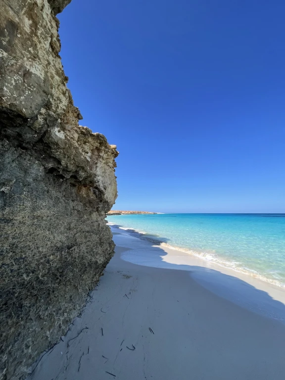 img_6526_photo_full_4x