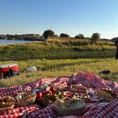 Copy of 471746113_883424283983216_9129938960397273584_n