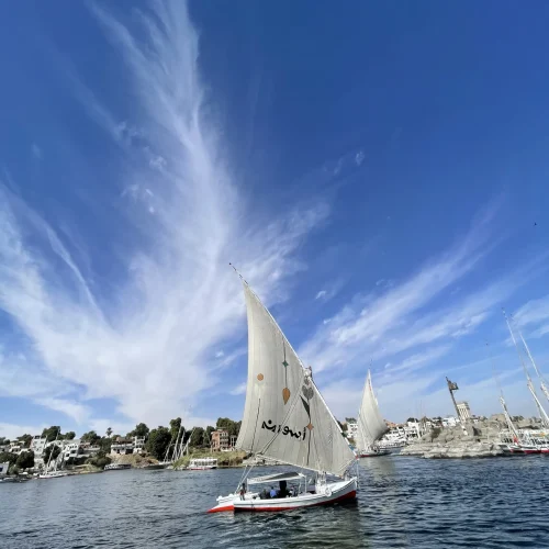 Copy of IMG_1708~photo